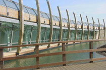 Mile End Park, East London
